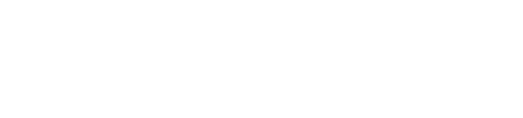 Precisesoft Inc